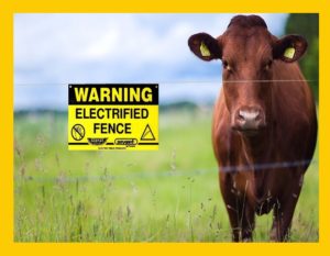 cercos electricos para animales